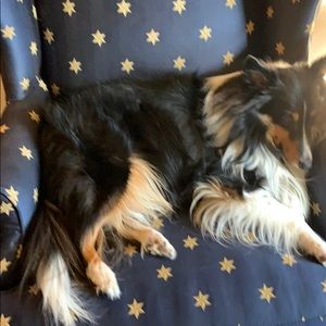 Meet your Posher, Brenda